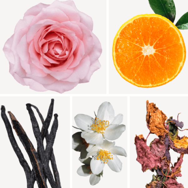 Duftnoten: Patschuli, Rose, Orange, Vanille, Jasmin